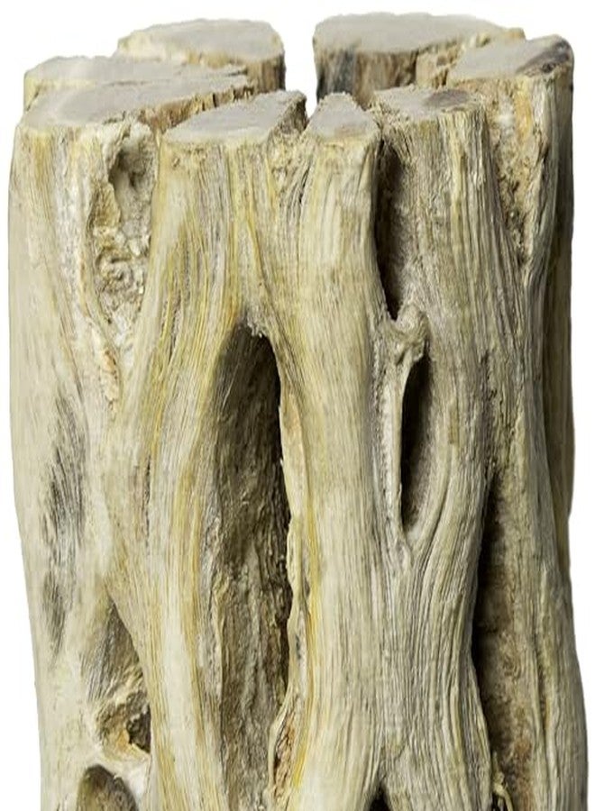 Galapagos Galápagos (05271) Cholla Wood - Natural Aquarium & Terrarium Decoration for Fish Tanks, Reptile Tanks, and Bird Perches, 12”, Natural - Image 3